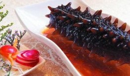 爆料海参被打视频大全下载,一场海洋生态的警示录