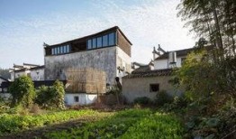 最新乡村都市大爆料,最新乡村发展动态大爆料